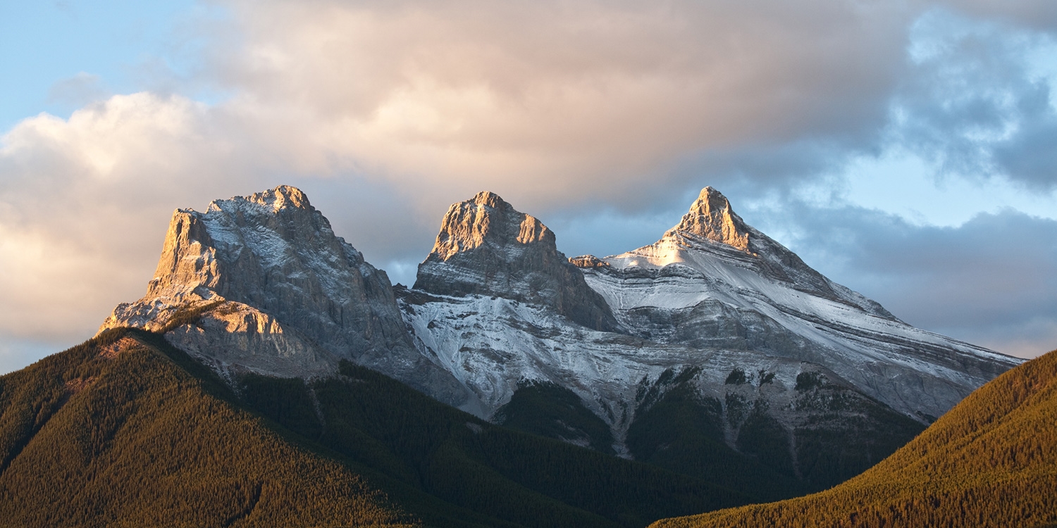 Banff National Park is home to over 50 species of mammals, including elk, grizzly bears and wolves